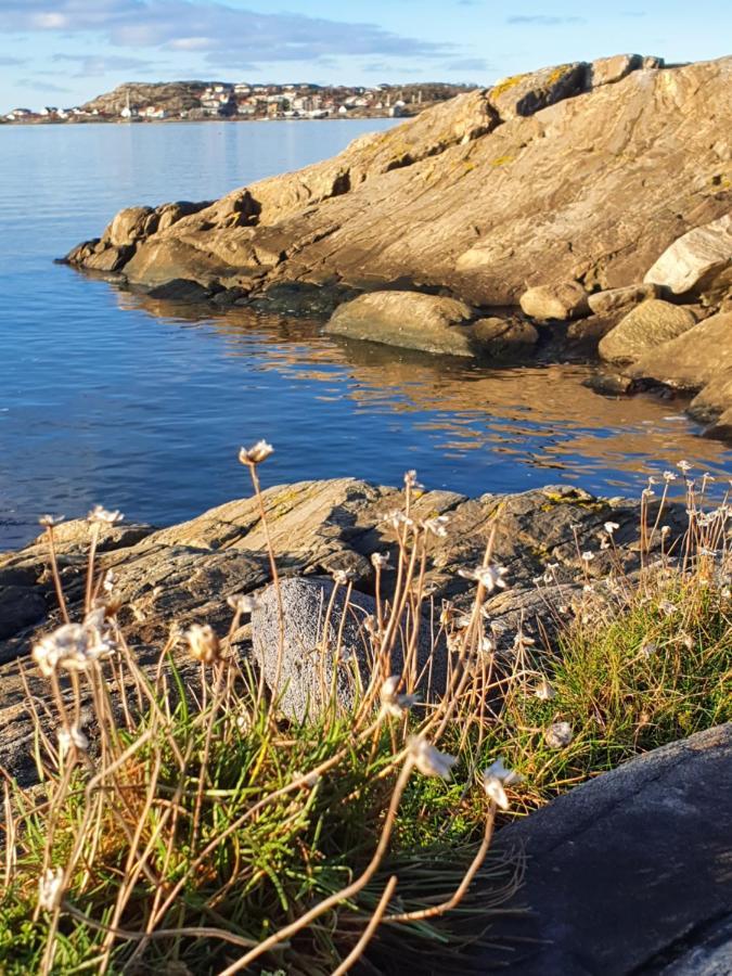 Apartment Skaergardsidyll Pa Bjoerkoe Med Gangavstand Havet *